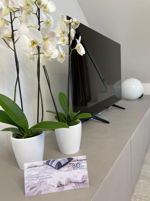 Appartamento Queen Luxury