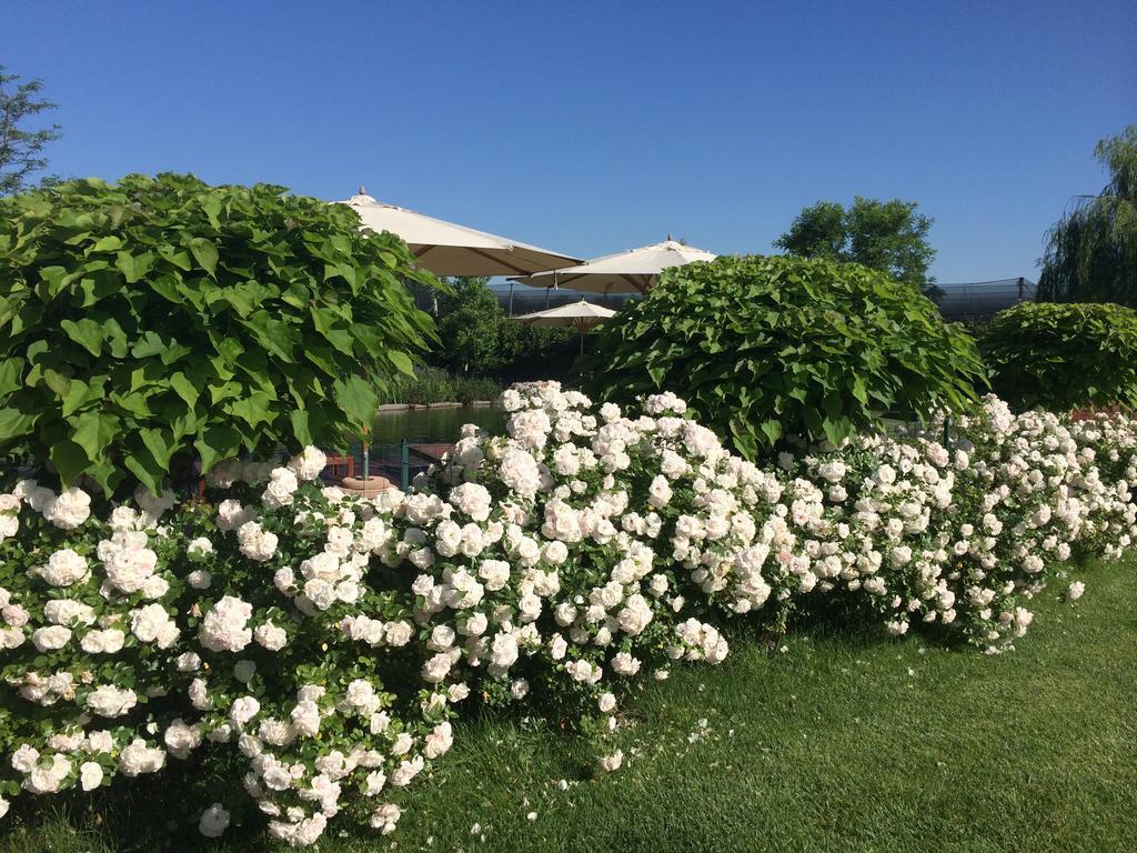 Corte All'olmo Farm stay Verona