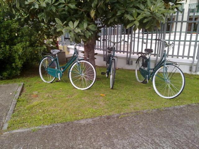 Viale Venezia Aparthotel 2*
