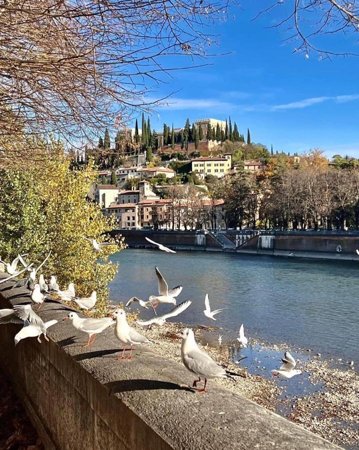 Appartamento Casa Elena