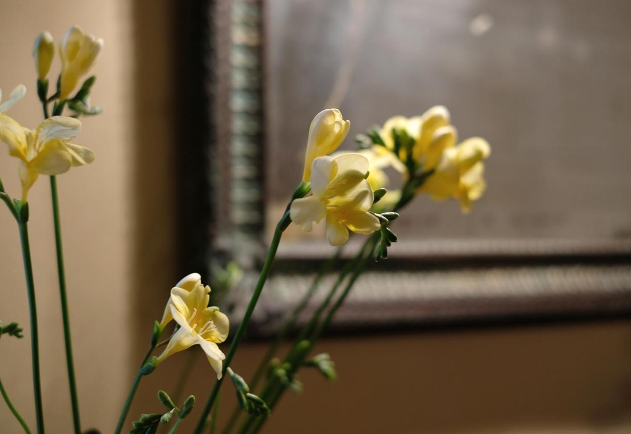 Guest house Domus Nova Palace - Italian Homing Verona