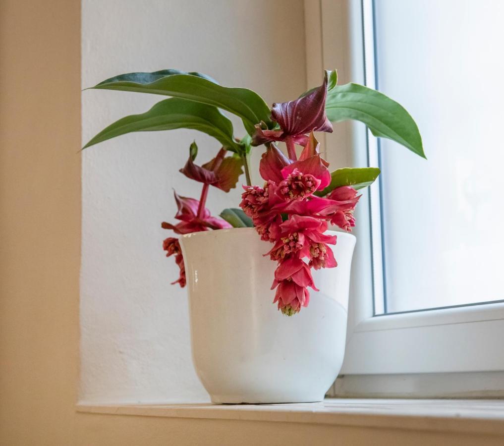 Loft Palazzo Dionisi *
