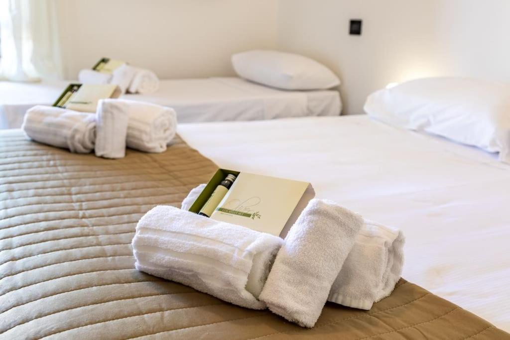 Apartamento Casa Maggio Con Parcheggio E Pet Friendly!