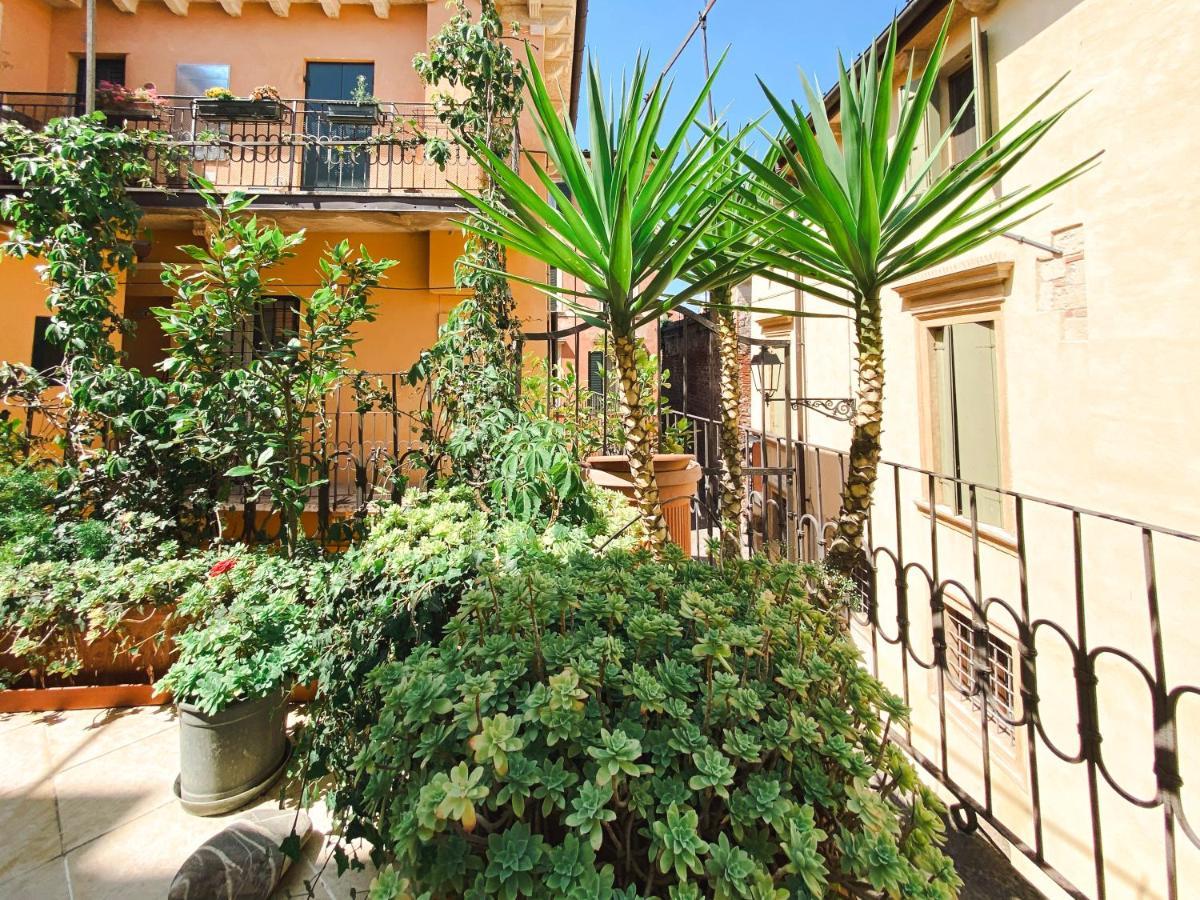 Apartment Fontanelle Terrace House *