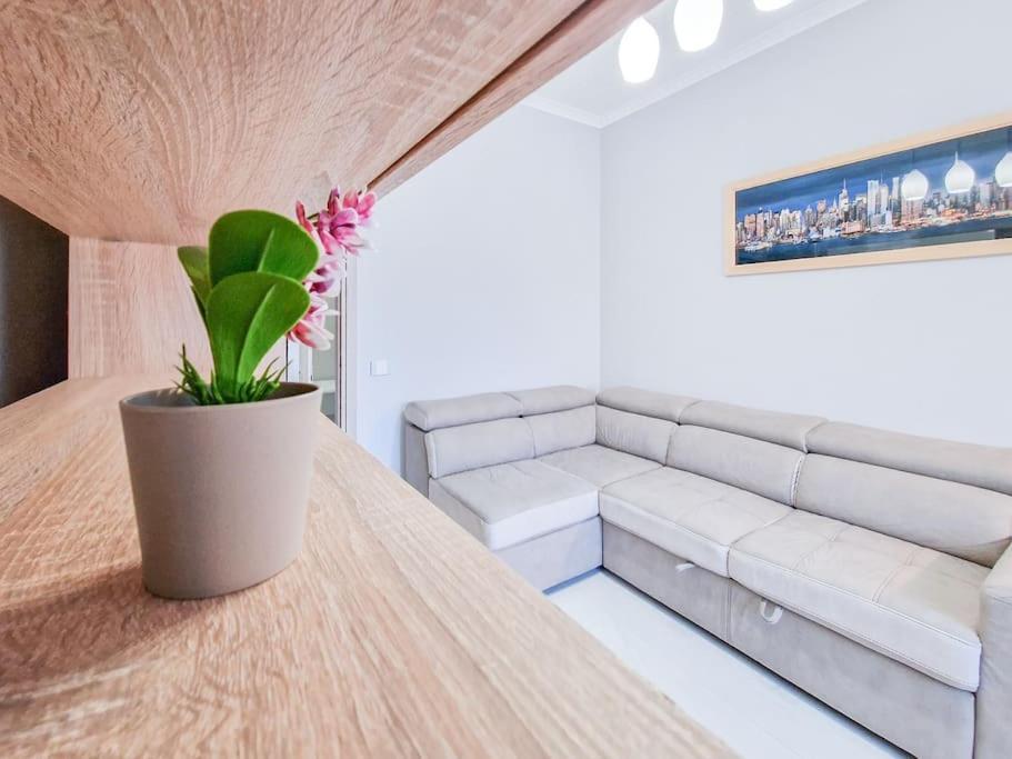 Puccio - Station Apartamento *