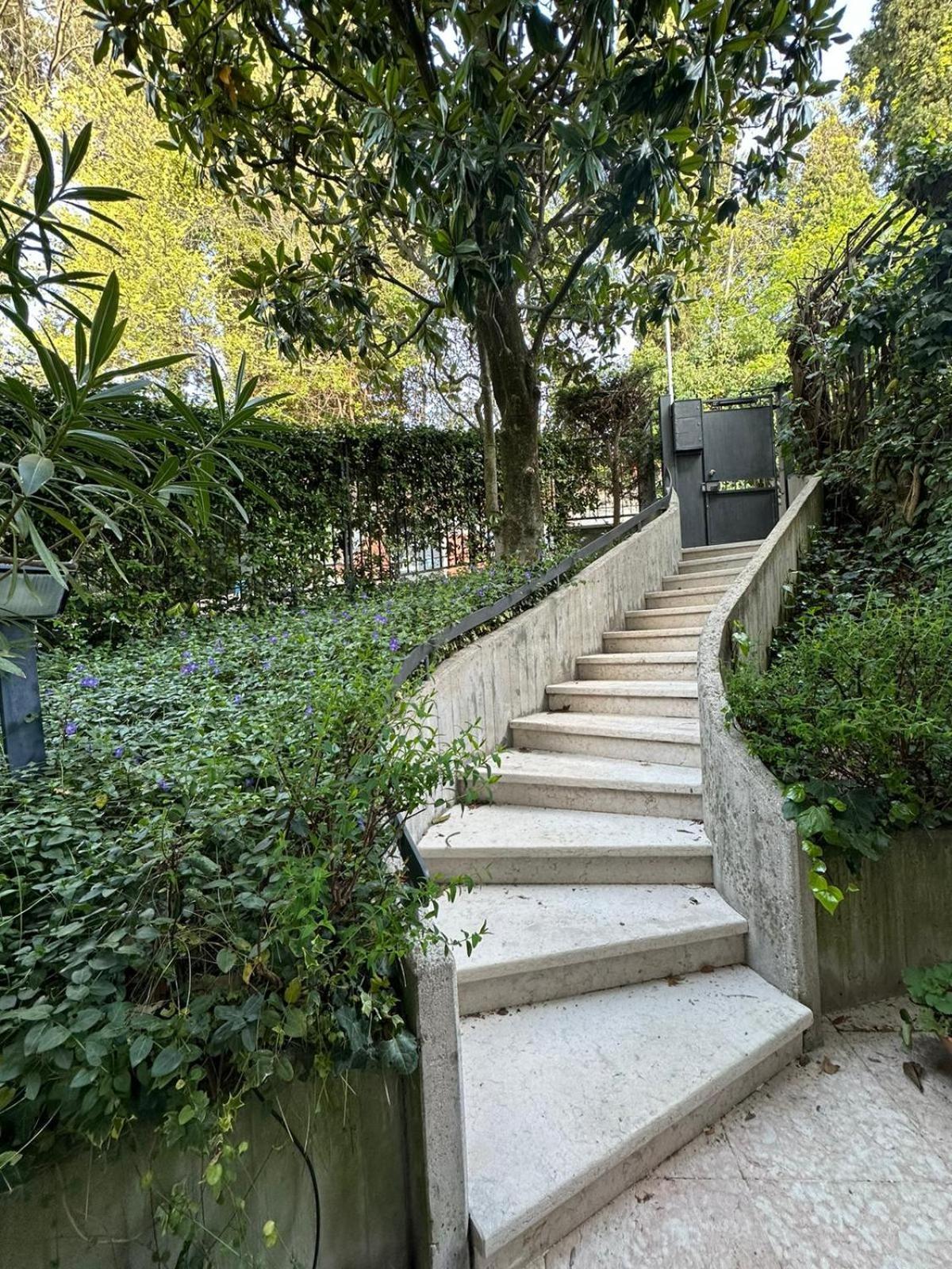 Maison Temple Pensión *