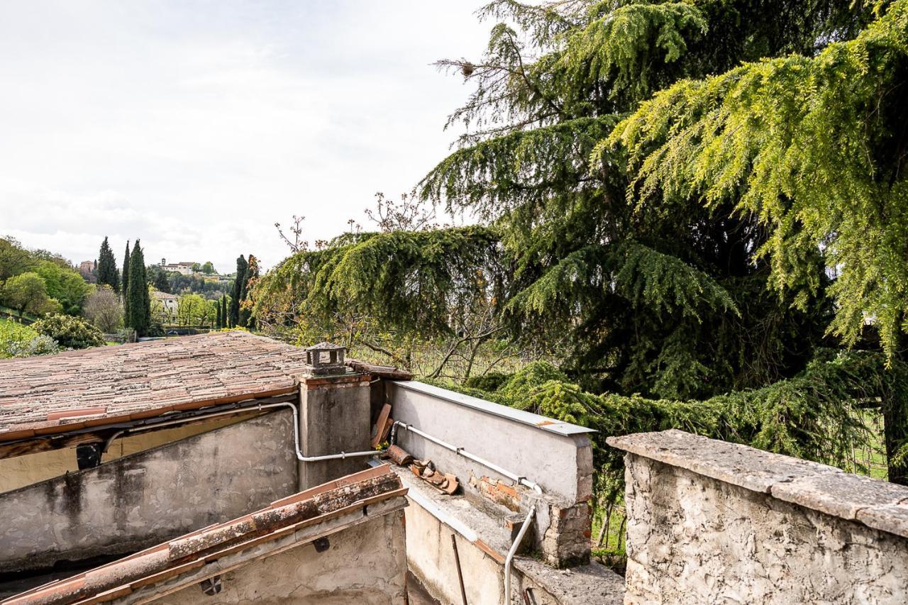 Bilocale Immerso Nel Verde Appartamento Verona