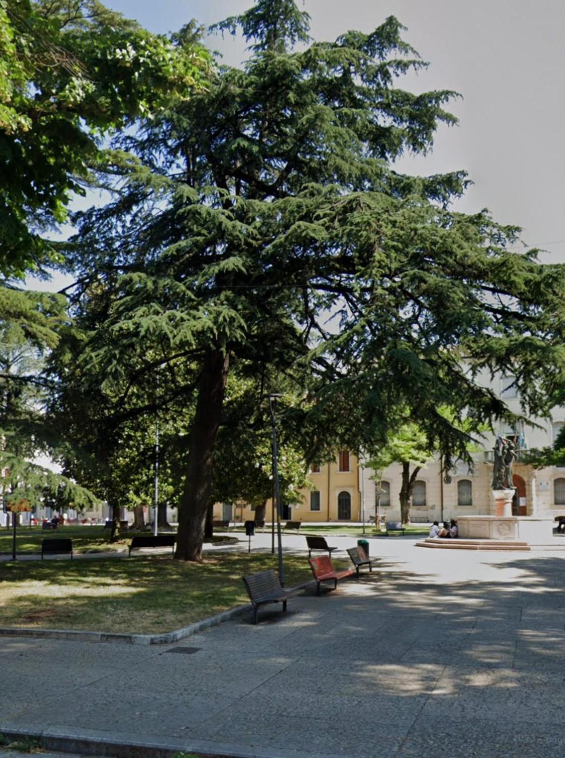 La Rosa Di Appartamento