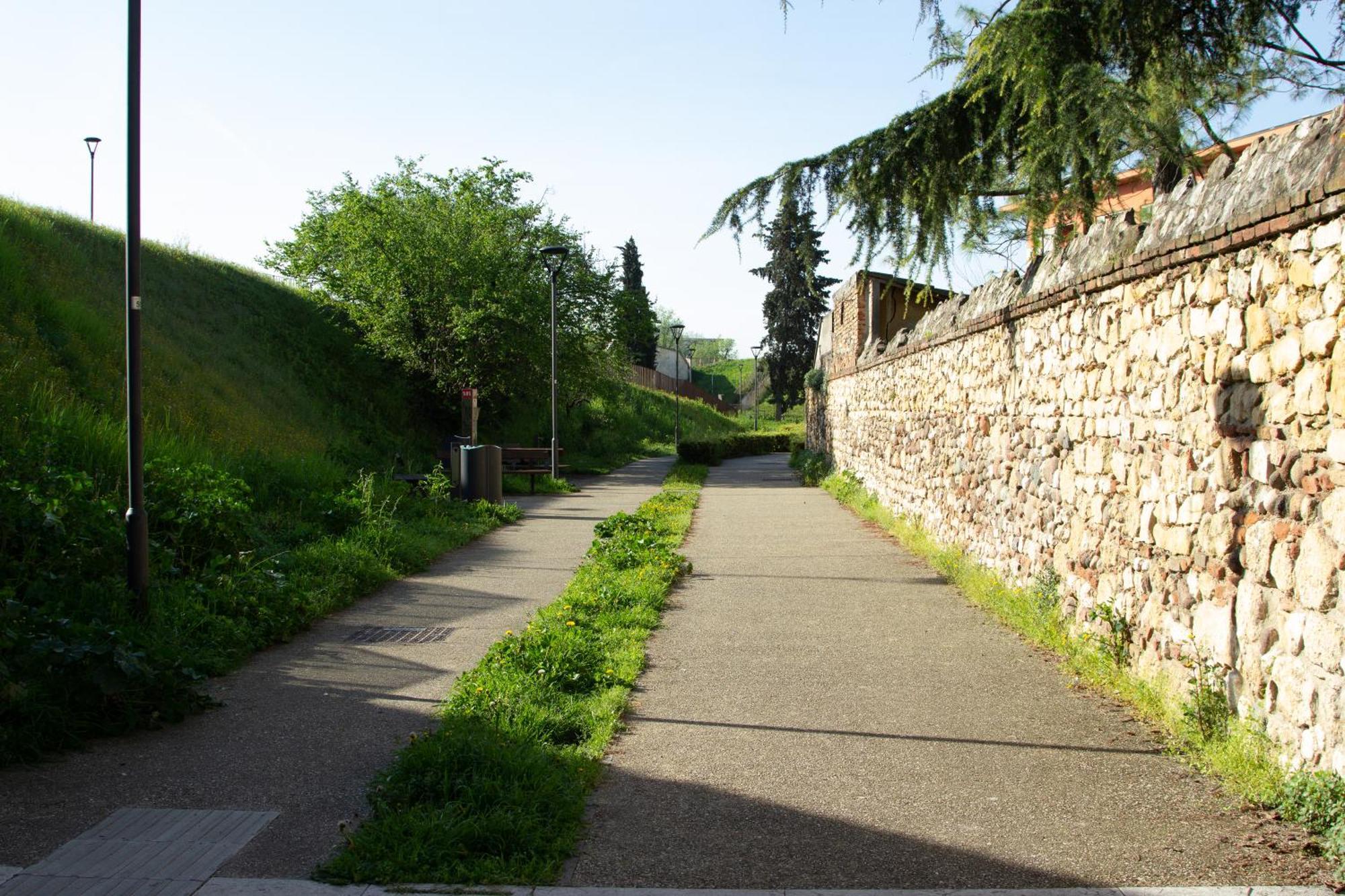 Nest * Verona