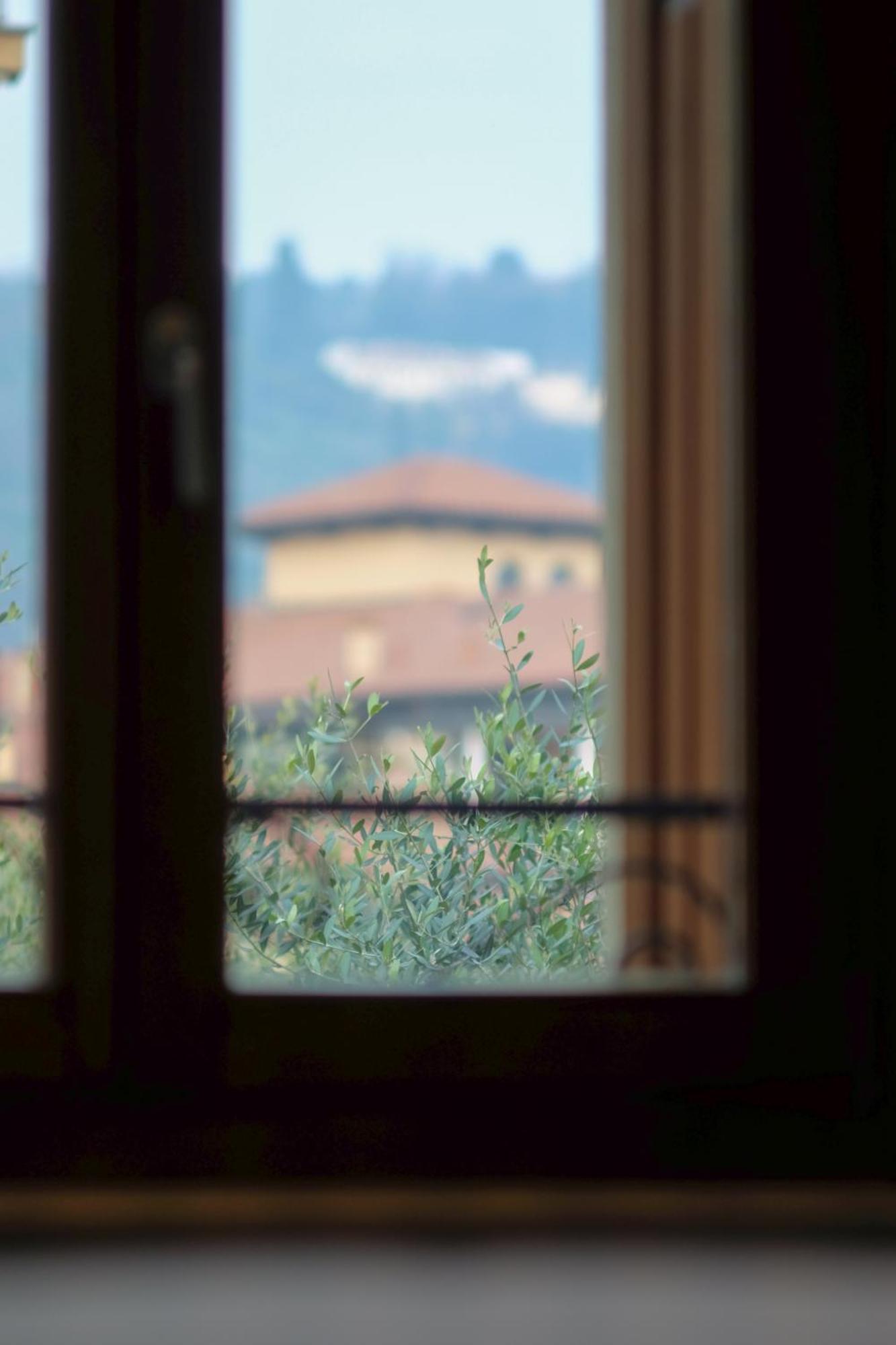 Naboo Luxury