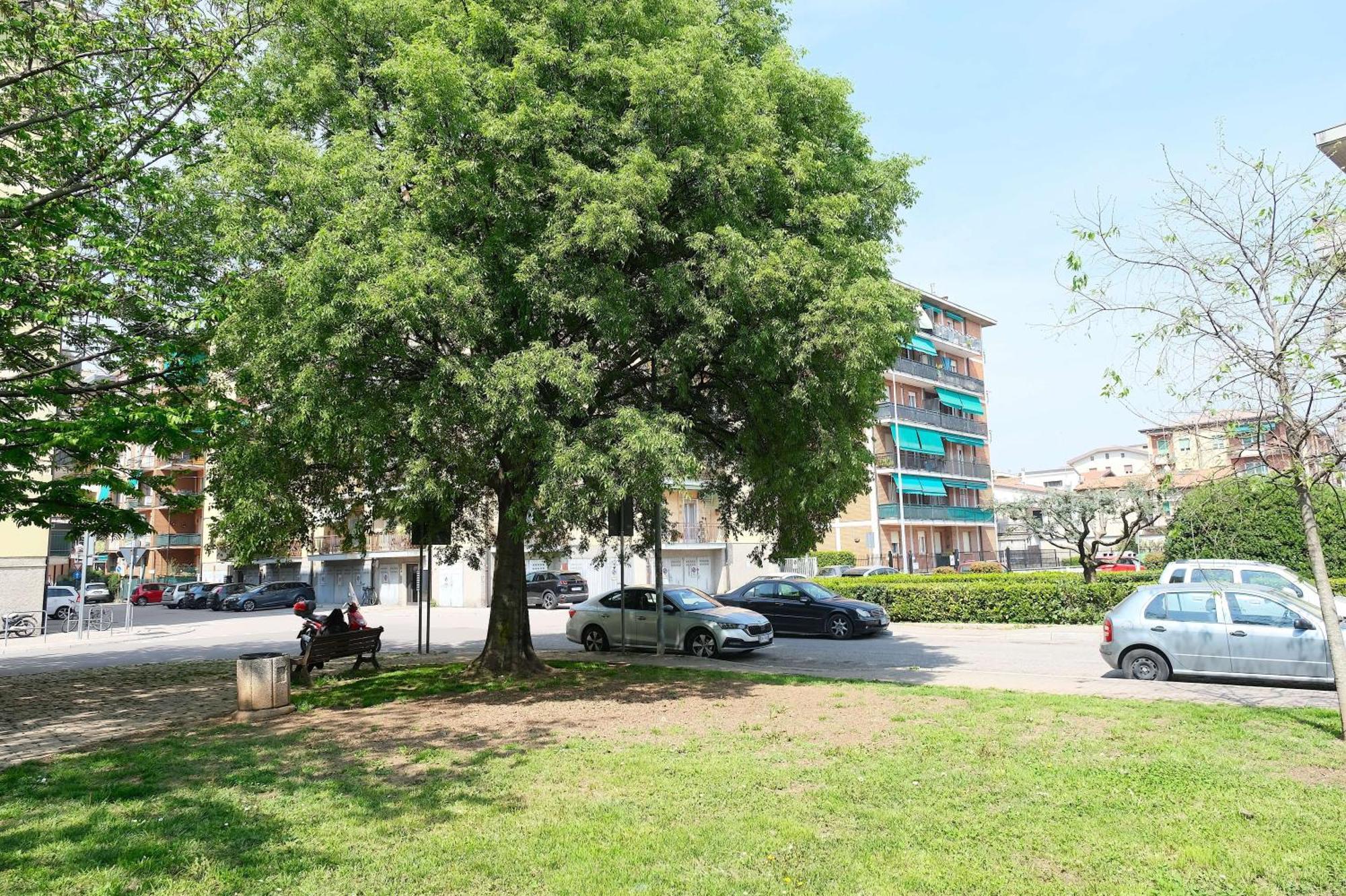 Vr Saint Lucy Verona