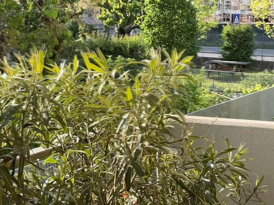 Apartamento Elegant Relax Near Veron Center Fair Garda Verona
