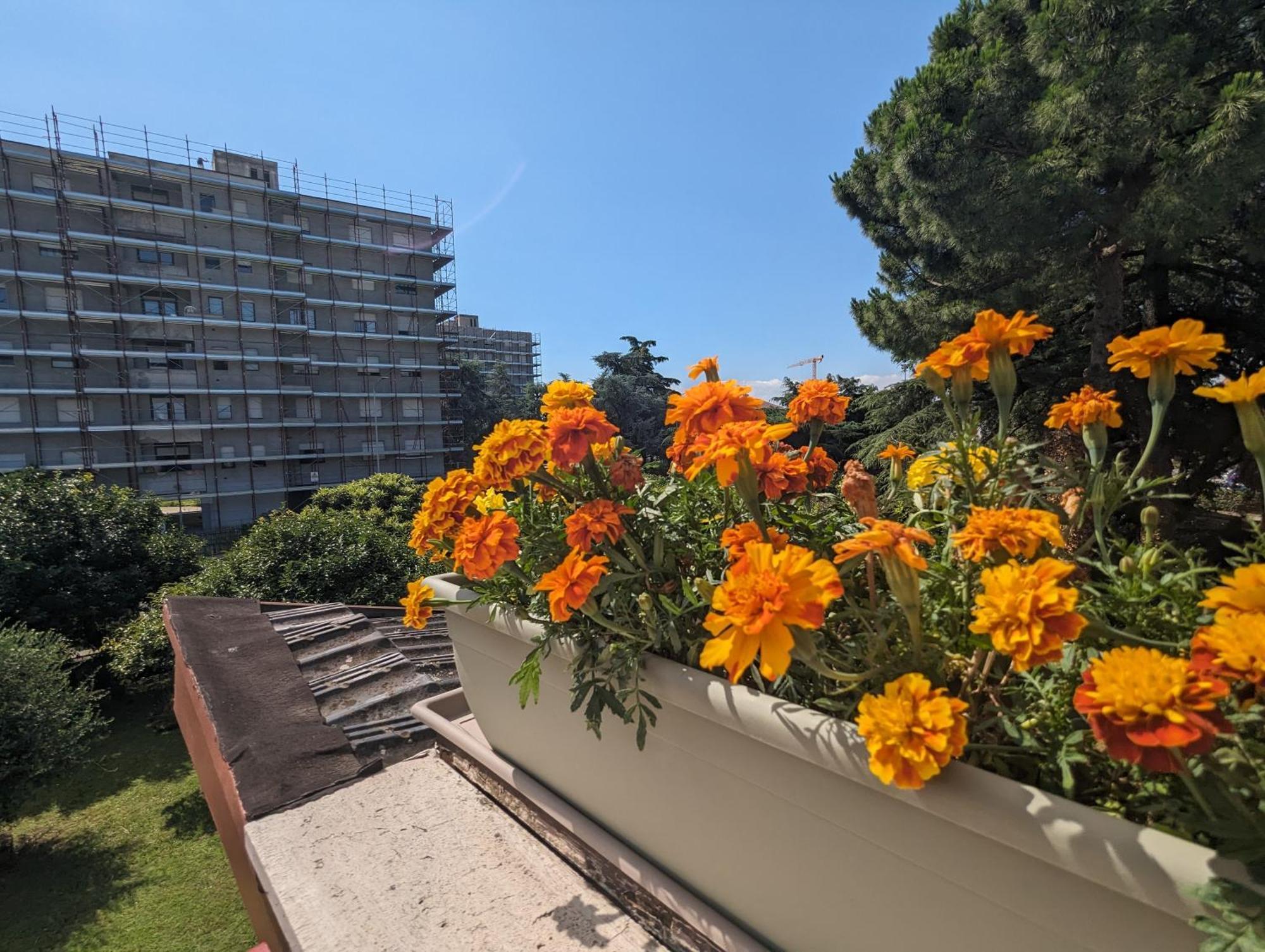 Urban Oasis 6 Pl Near City Center *