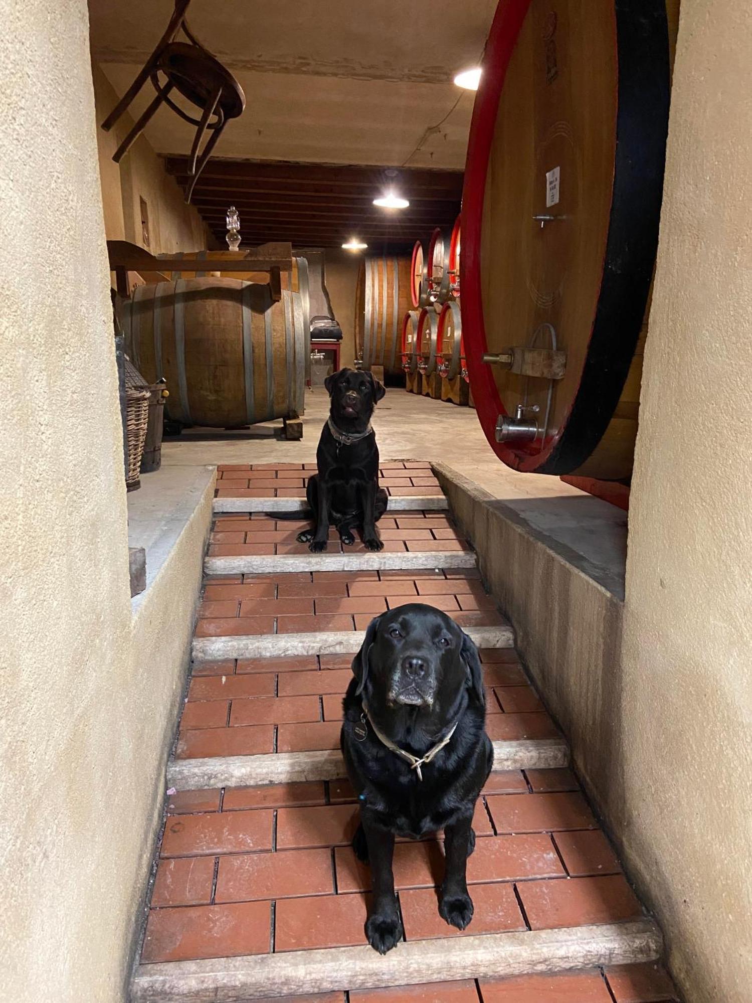 La Vineria Di San Mattia Agroturismo *