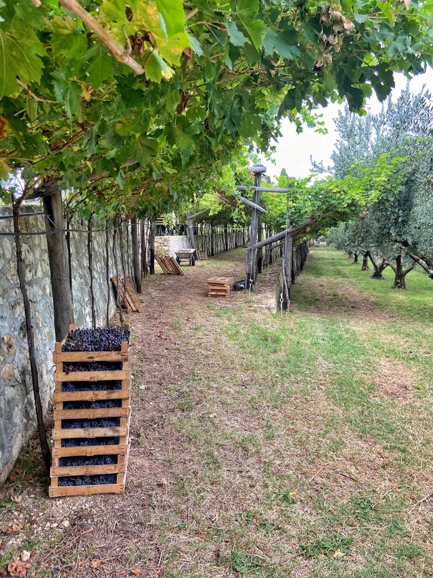 La Vineria Di San Mattia Agroturismo Verona