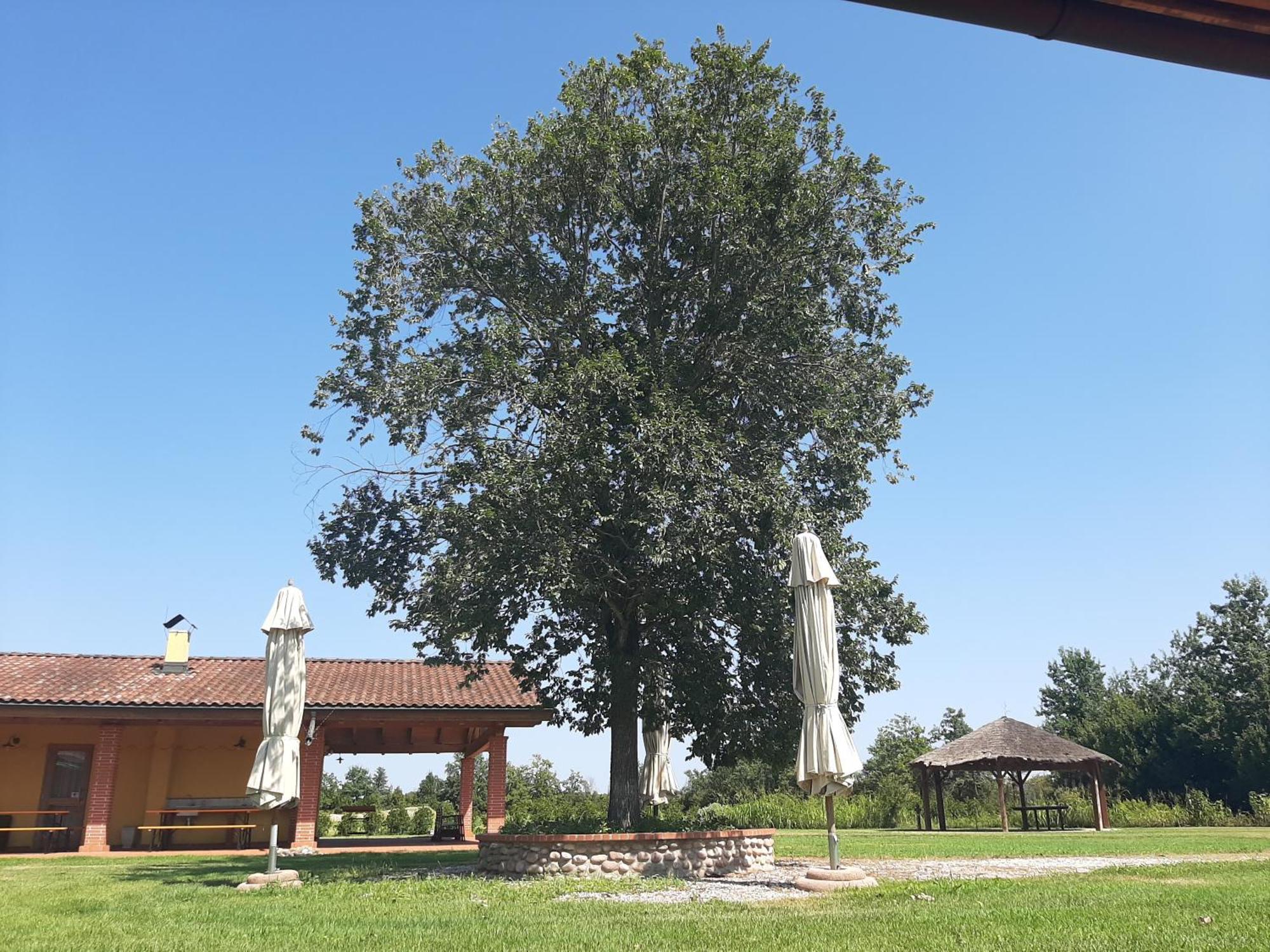 Corte All'olmo Farm stay