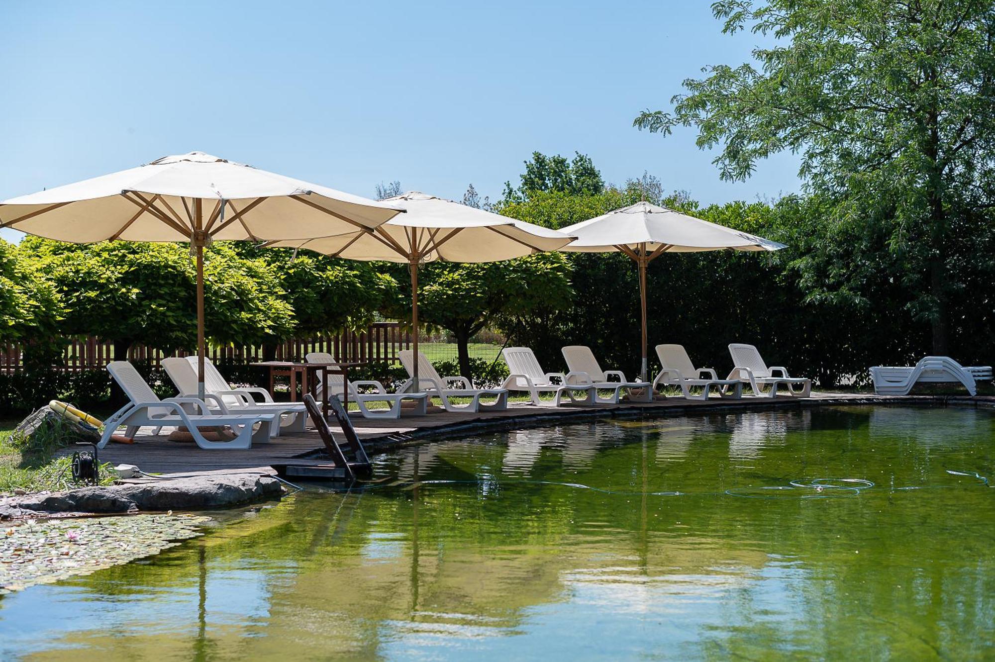 Farm stay Corte All'olmo *