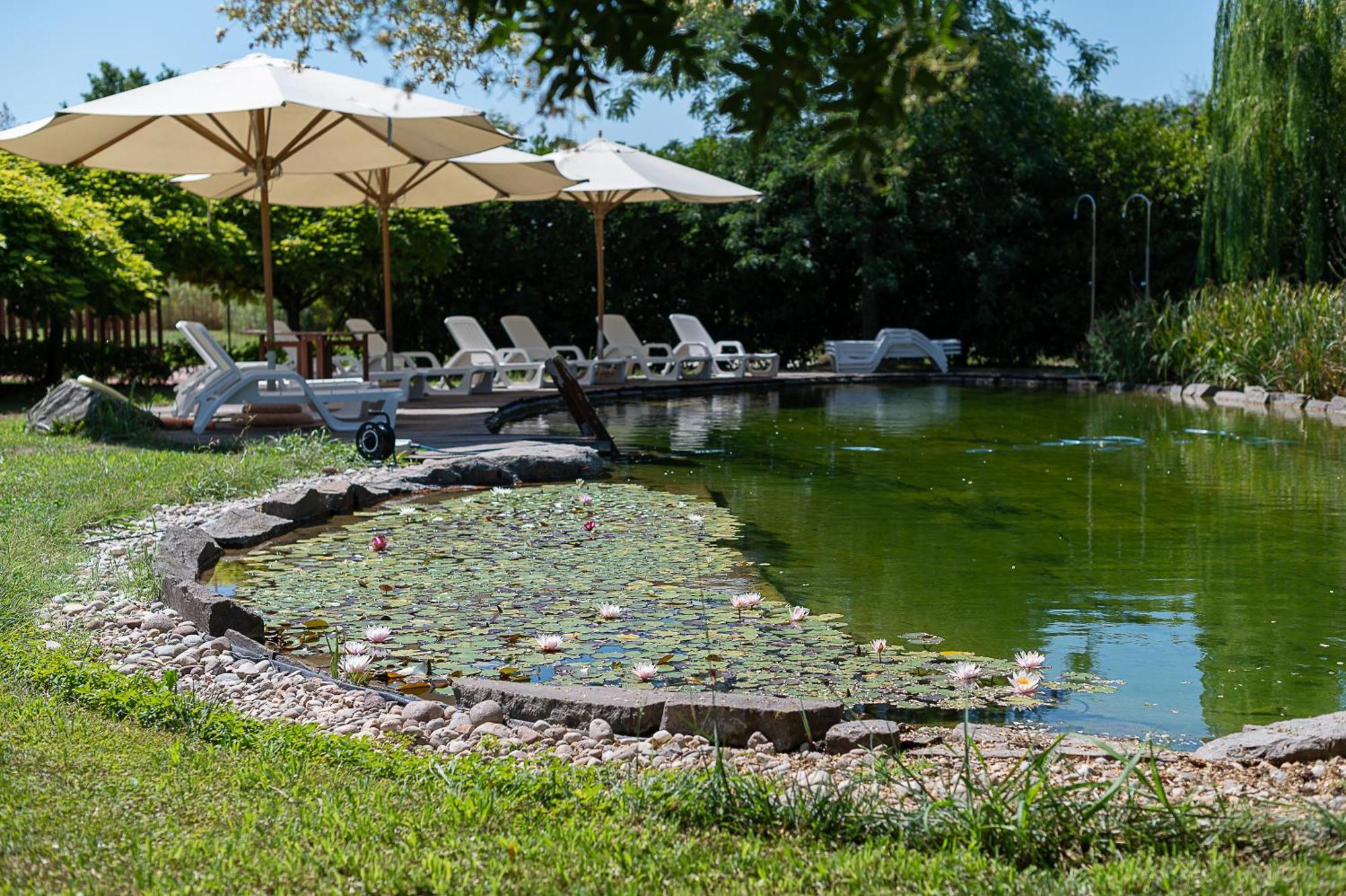 Farm stay Corte All'olmo Verona