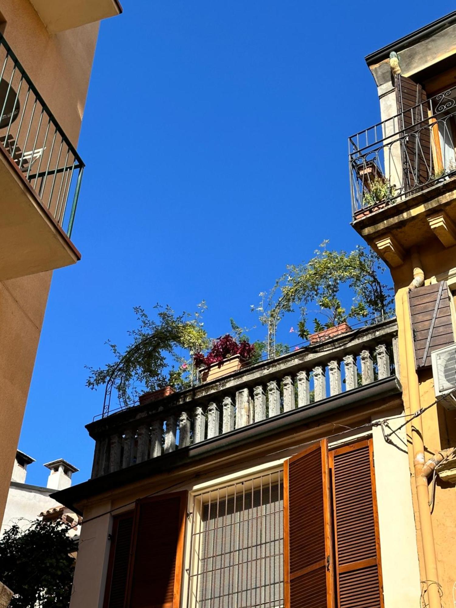 Il Nido Di Emma A