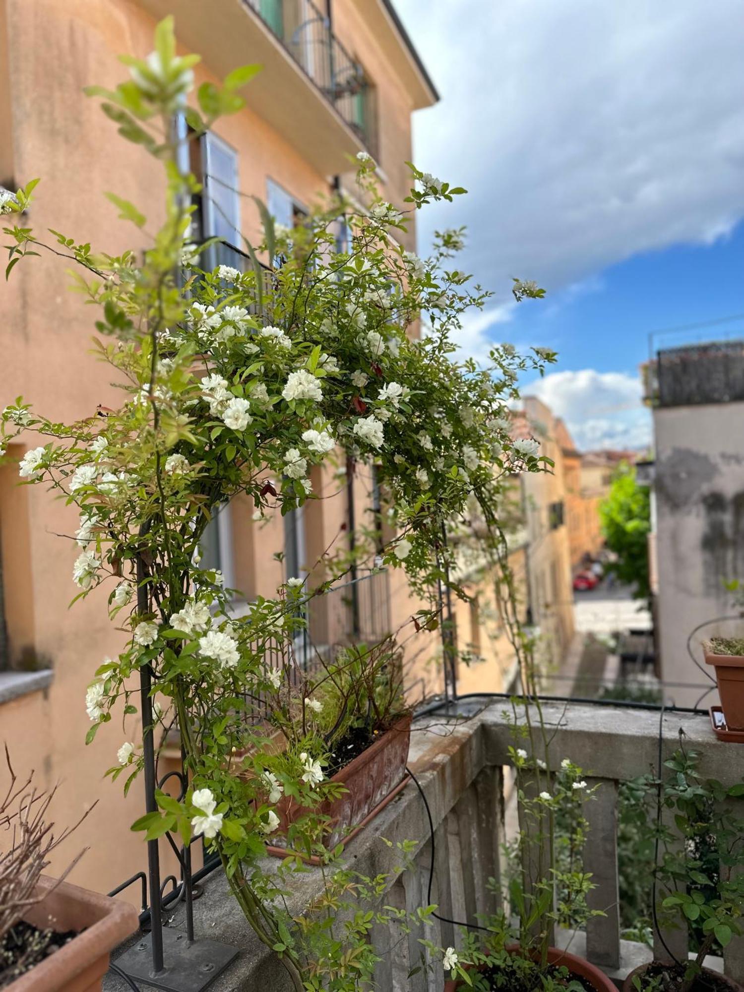 Il Nido Di Emma A Apartment