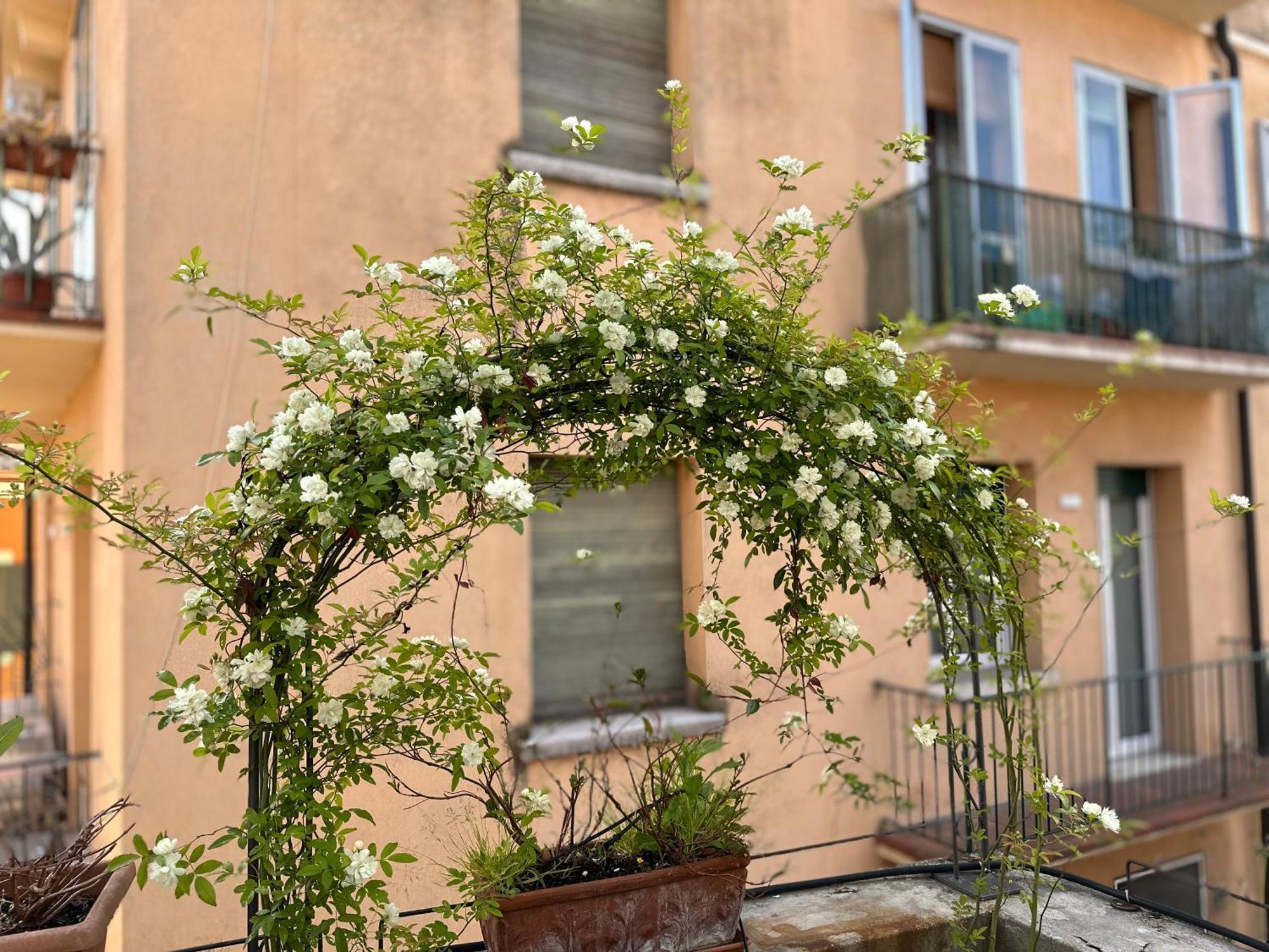 Apartment Il Nido Di Emma A Verona
