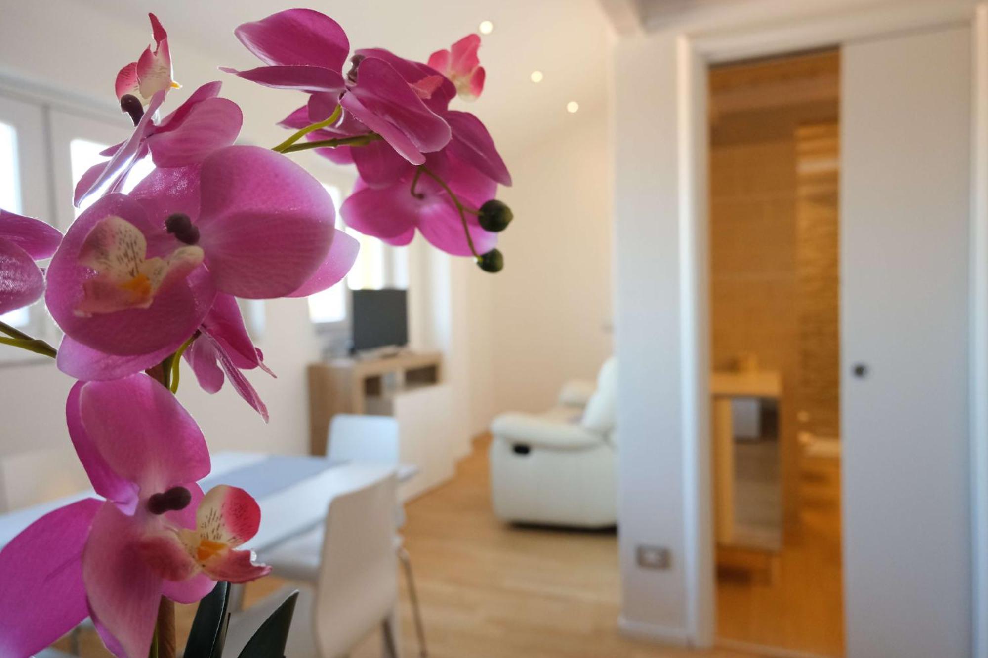 Apartamento Vr Attico Di Lino