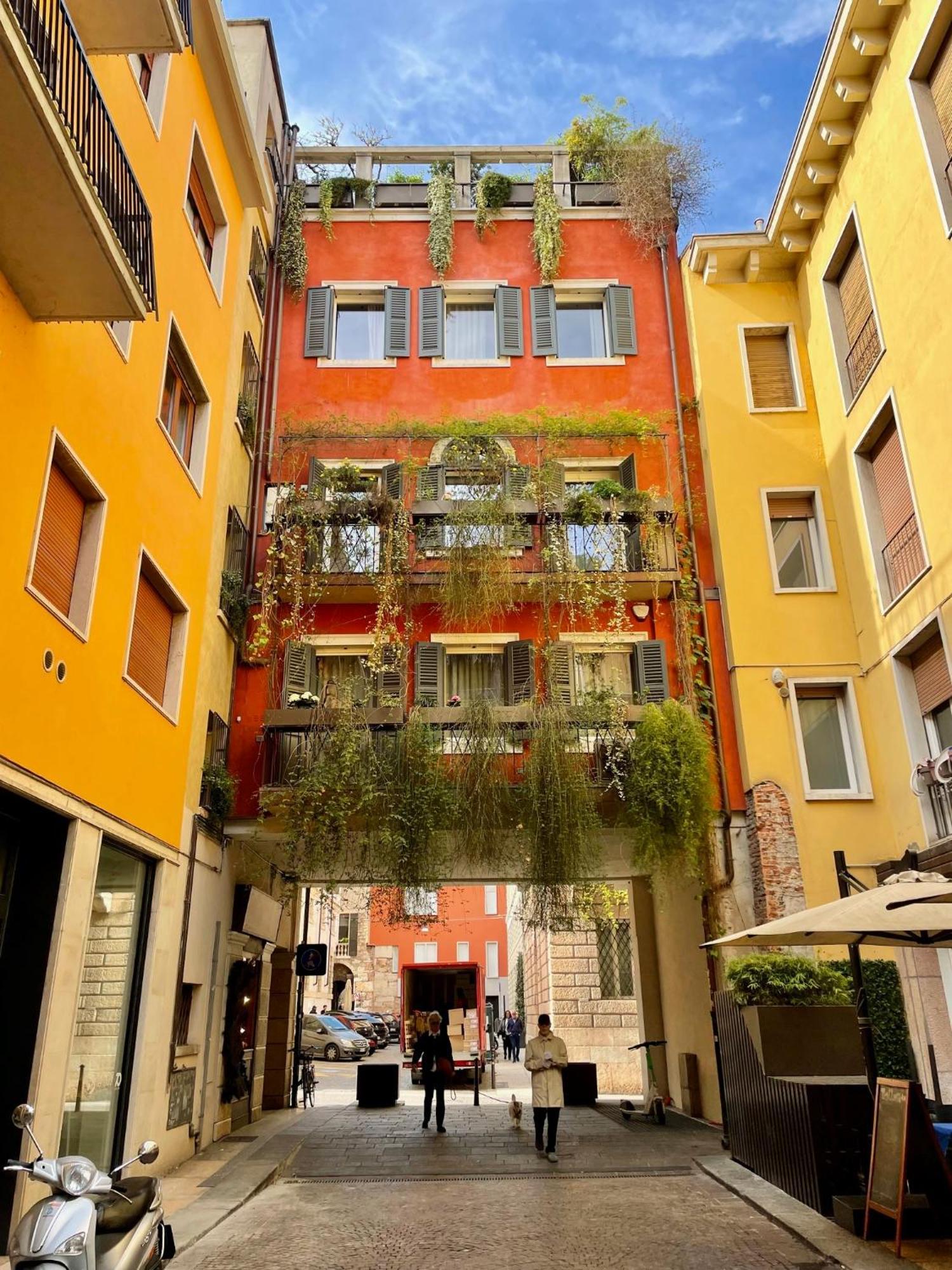 Apartamento Domus Pellicciai *
