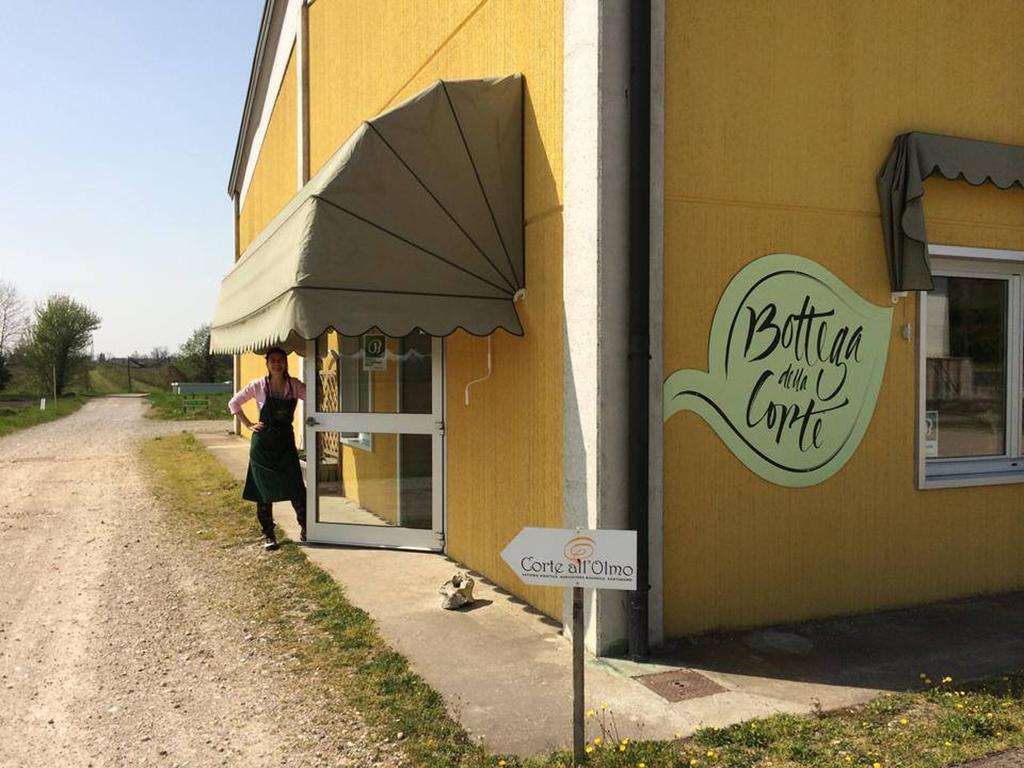 Farm stay Corte All'olmo
