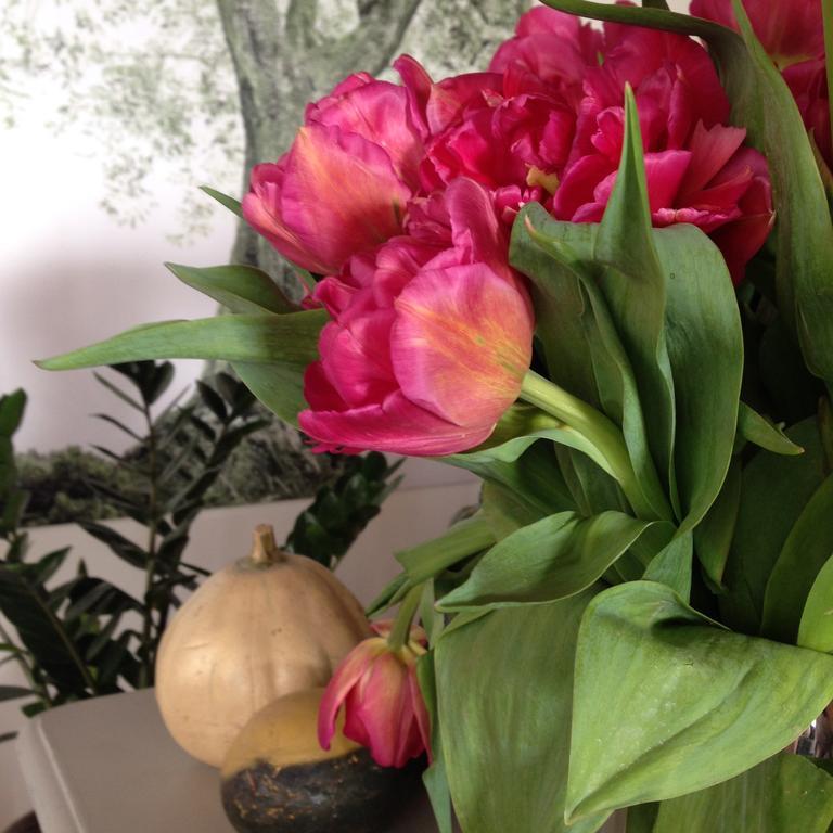 Bed & Breakfast Relais Bacio Di Luna Verona