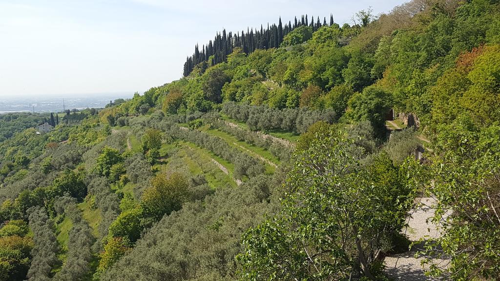 Relais Bacio Di Luna Bed & Breakfast Verona