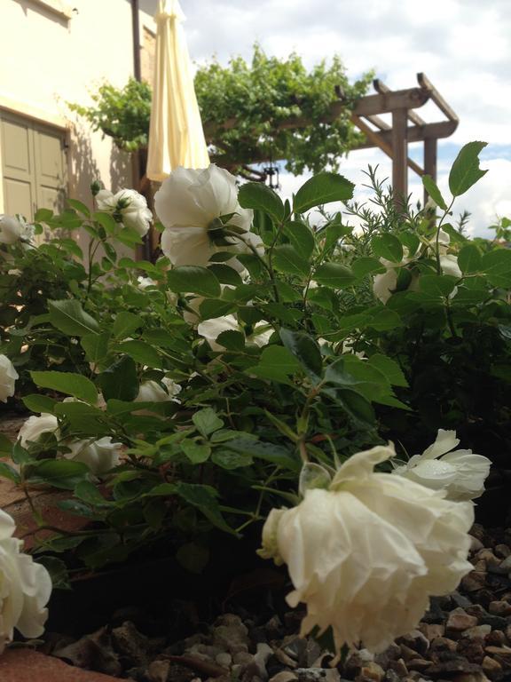 Bed & Breakfast Relais Bacio Di Luna *