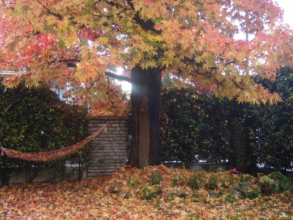 Couette-café Bed & Breakfast Agli Aceri