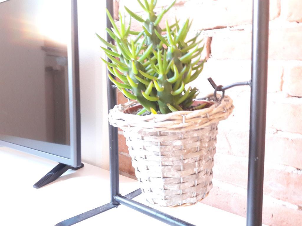Apartment Aris