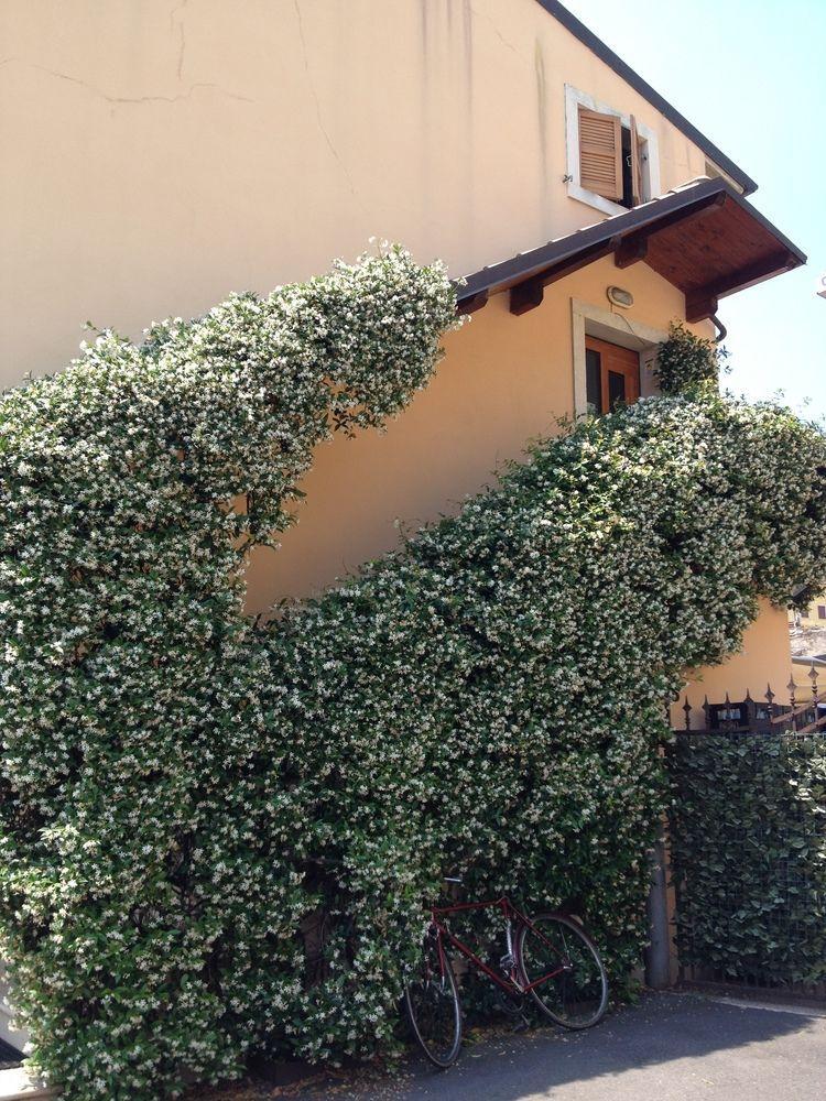 La Pesa Bed and breakfast
