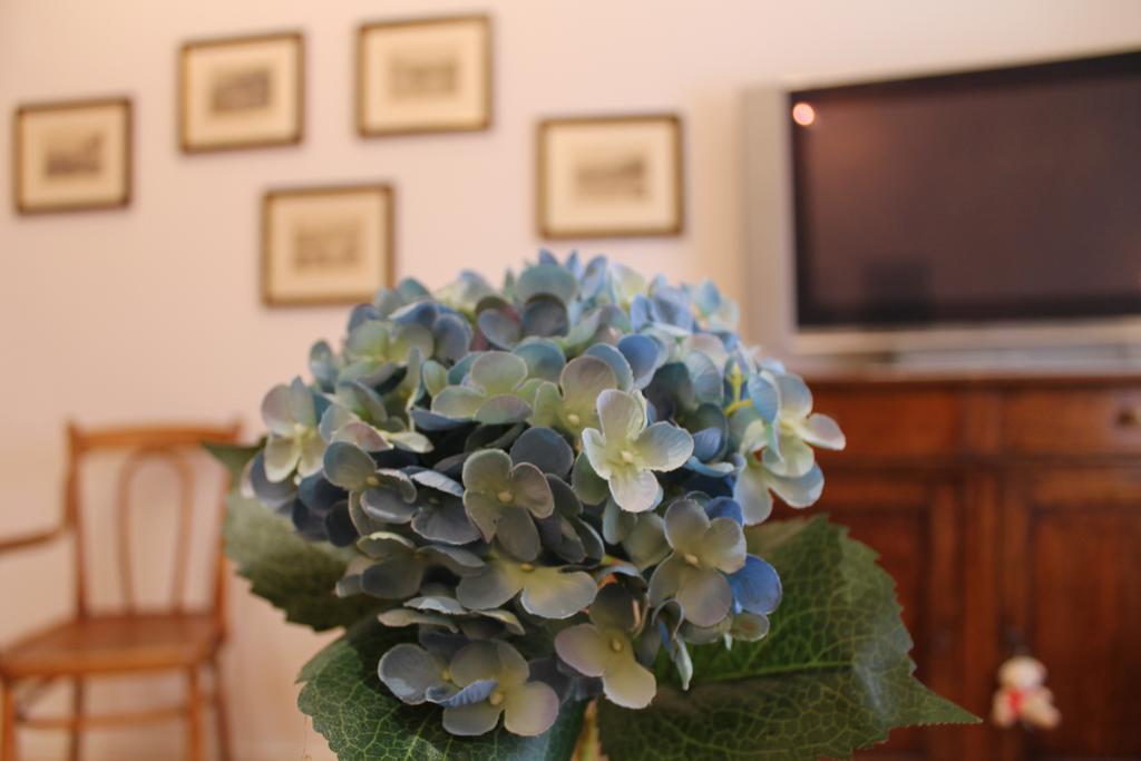 Apartment Campagnola *