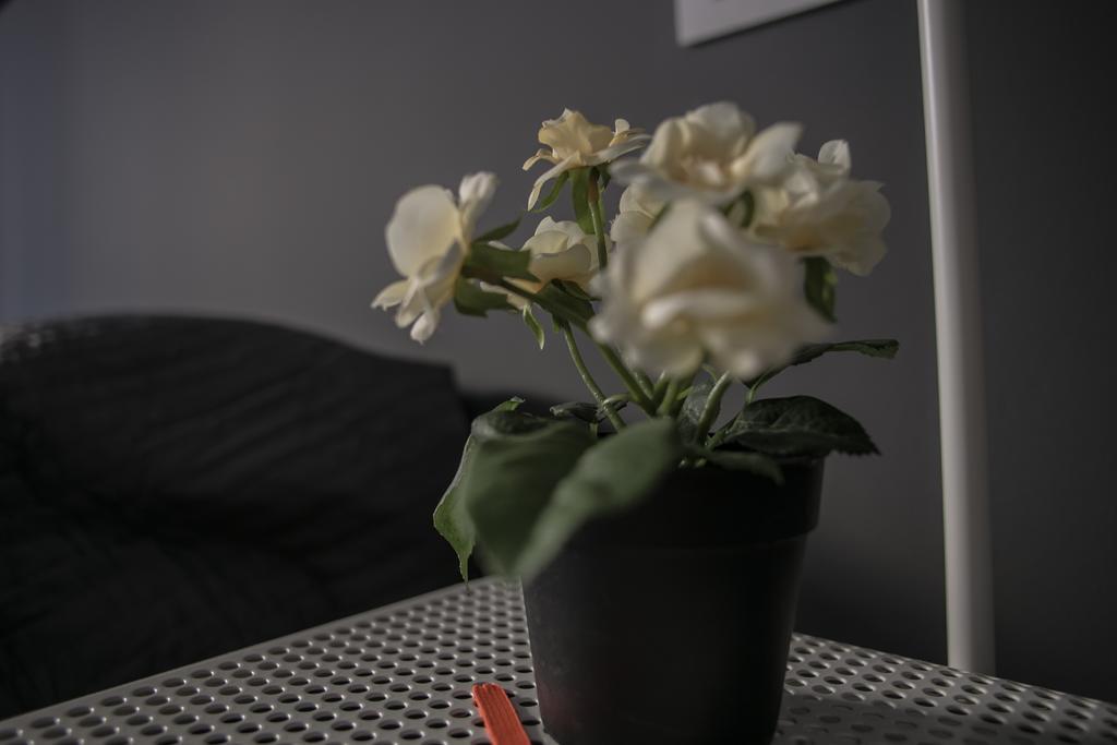 Apartment Cittadella 12