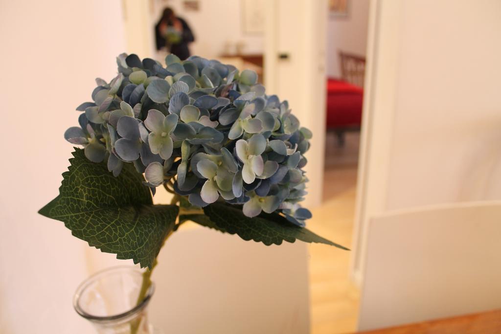 Apartment Campagnola *