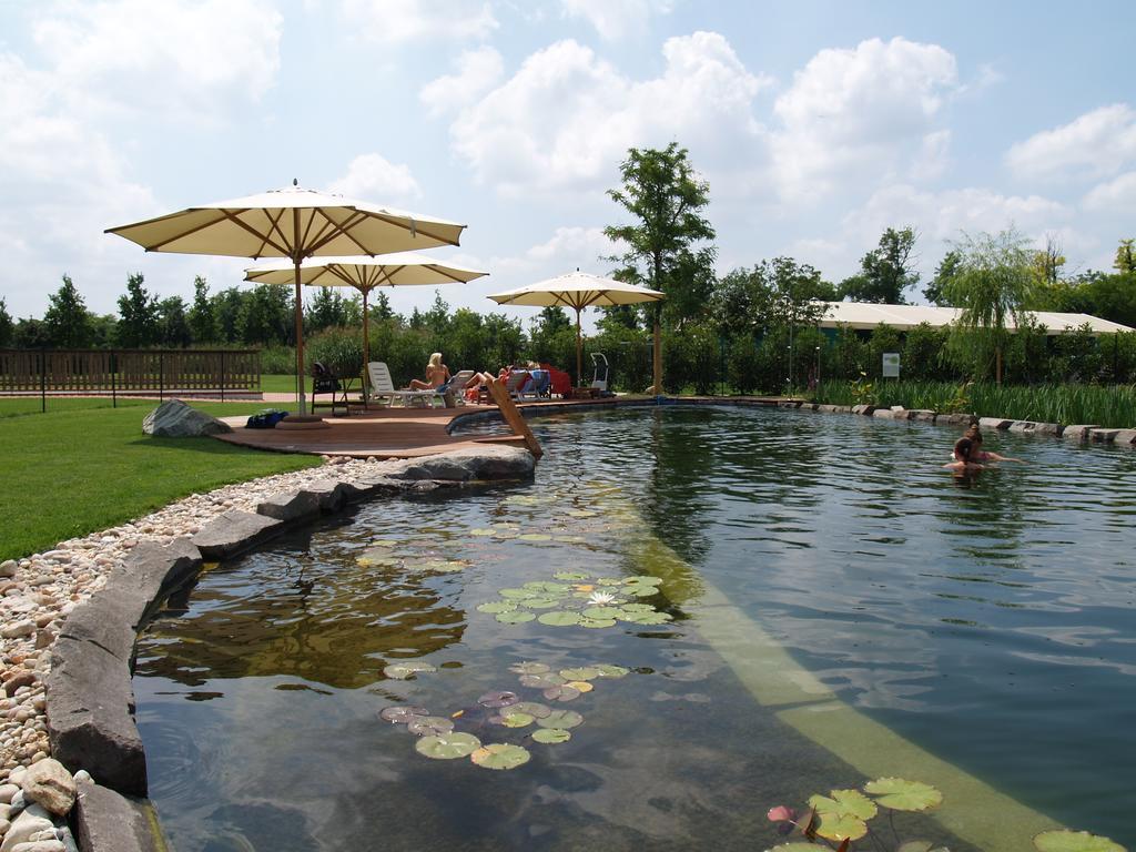 Farm stay Corte All'olmo Verona