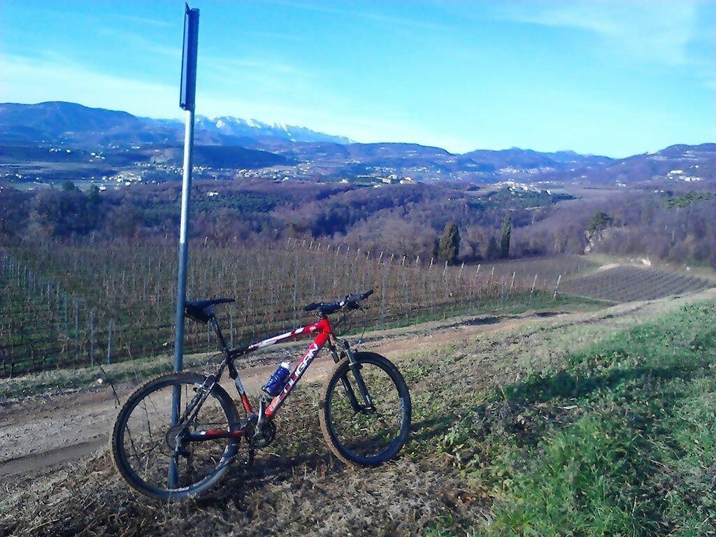 Altobello * Verona