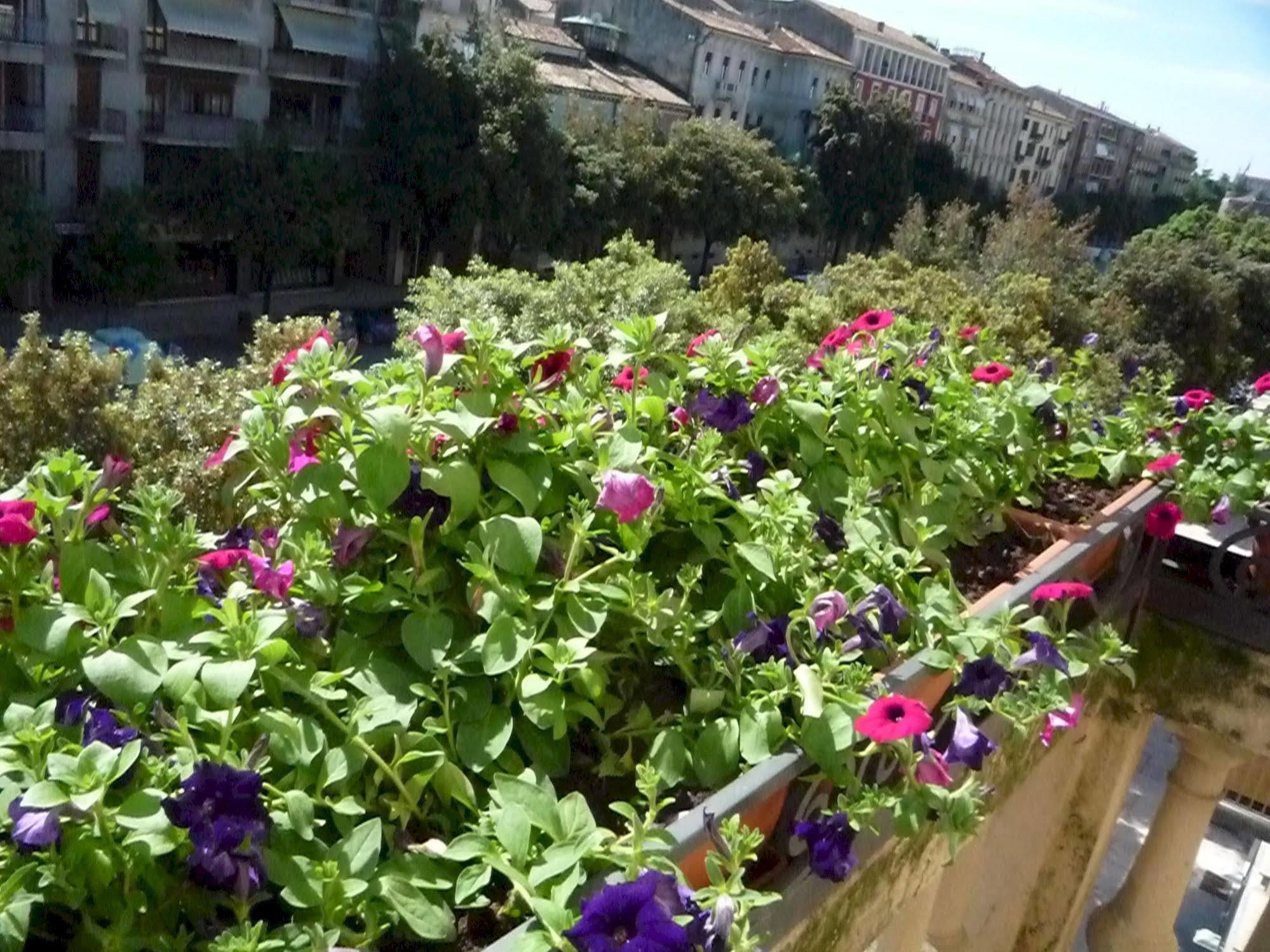 Trento Verona