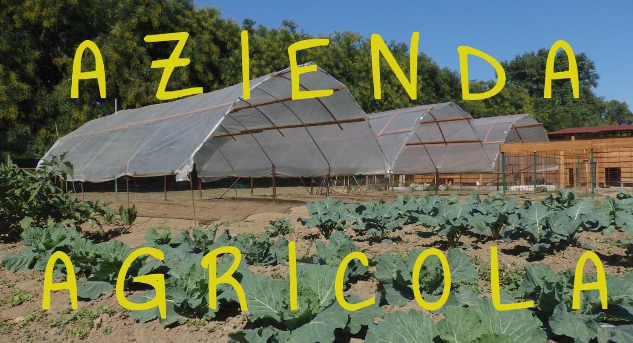 Corte Agricola Monro Bauernhof