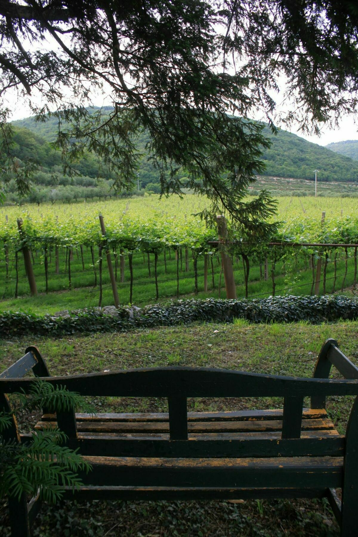 Corte Marchiori * Vérone