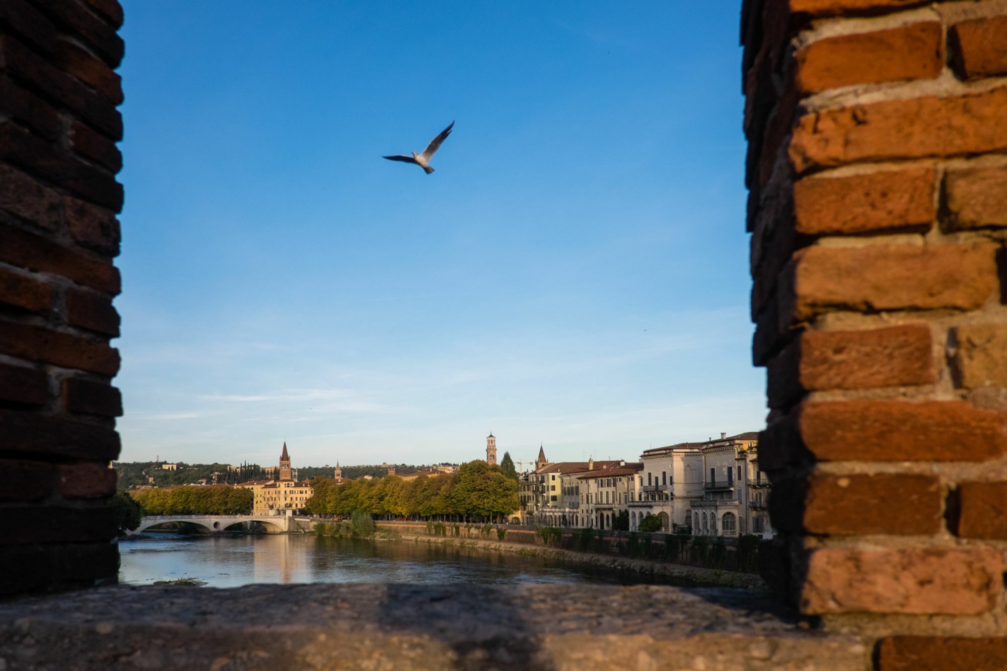 Residenza Roccaforte Scaligera Verona