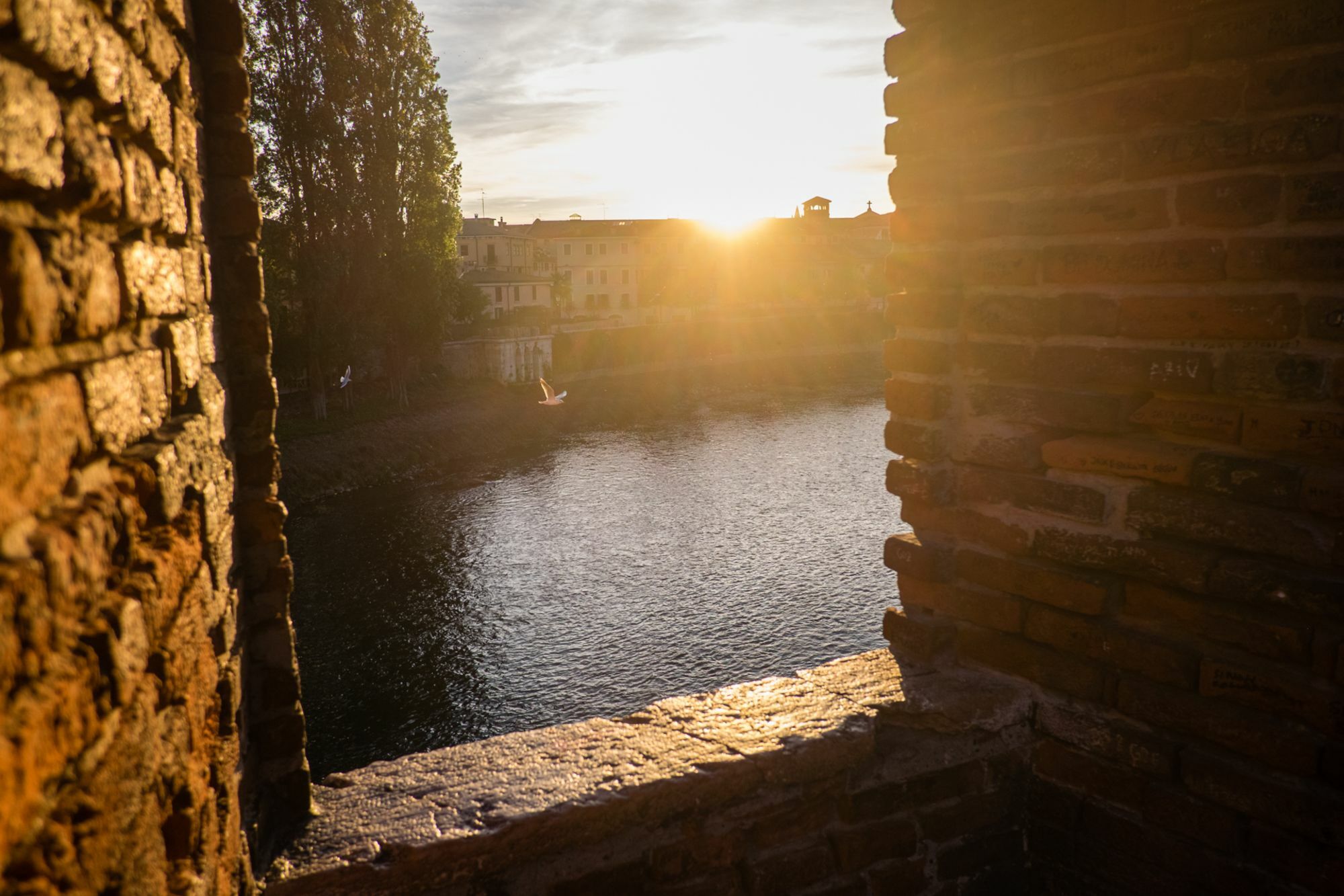 Residenza Roccaforte Scaligera Verona