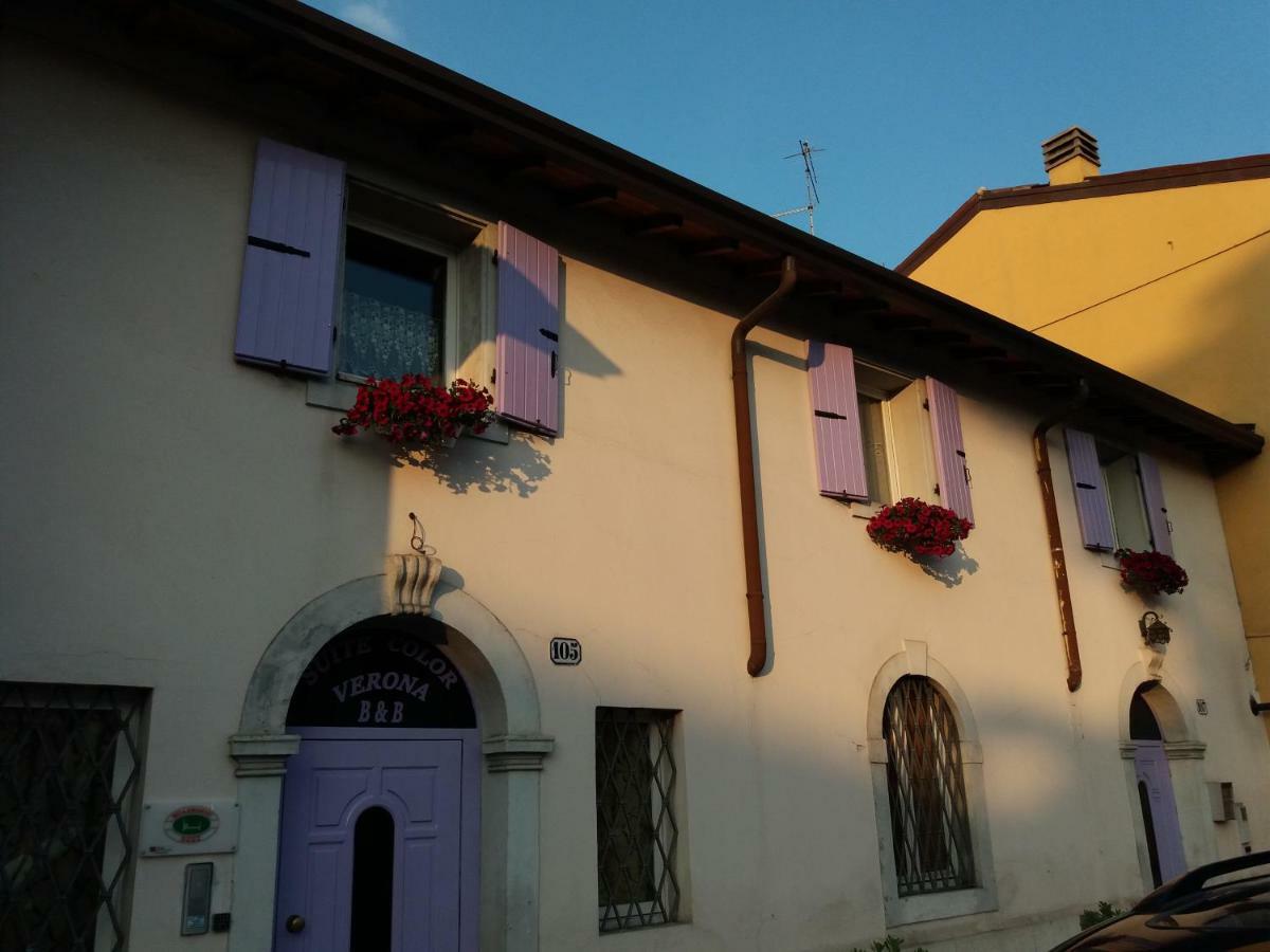 Color Bed and breakfast 3*