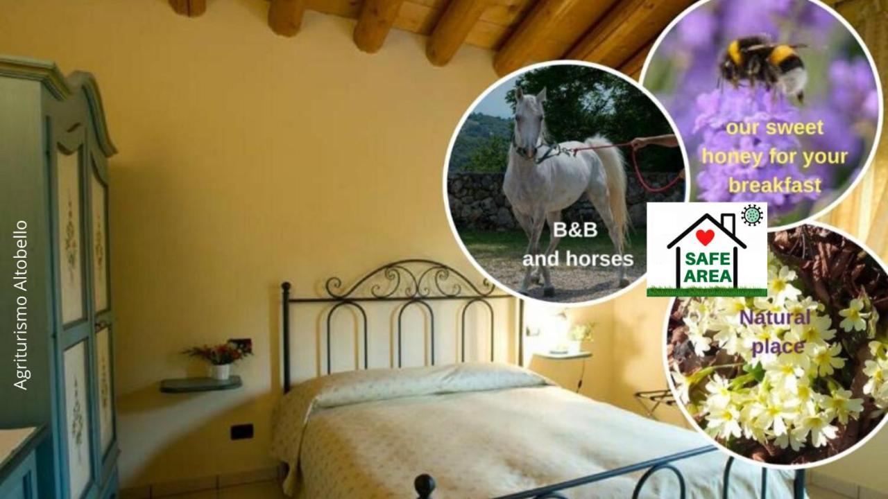 Altobello Agroturismo