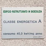Il Geco In Arena