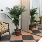Dora Rooms