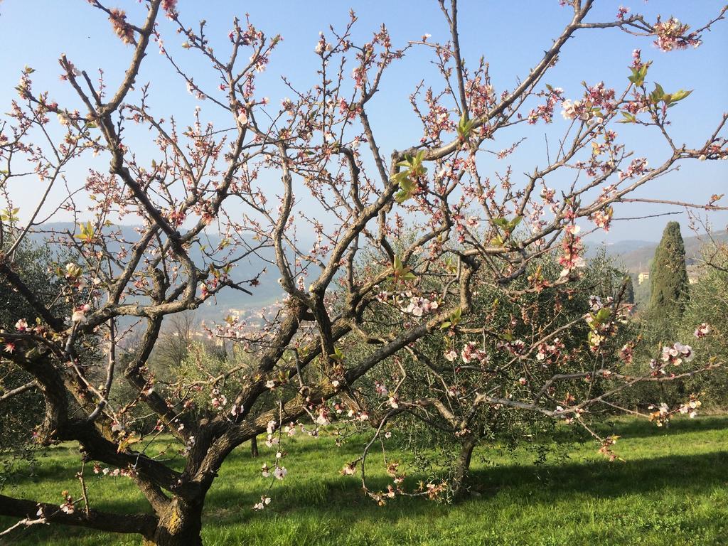 Bauernhof Il Pianetto *
