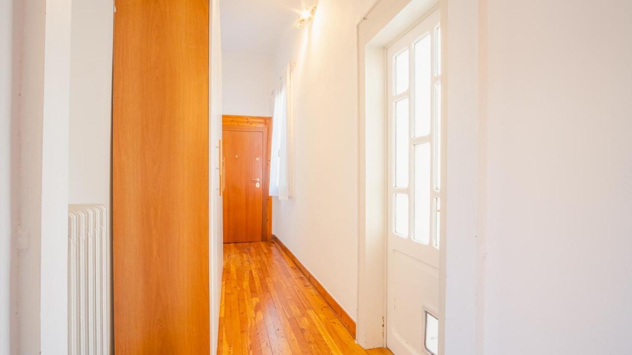 Historical Filippini Flat - Italian Homing * Verona